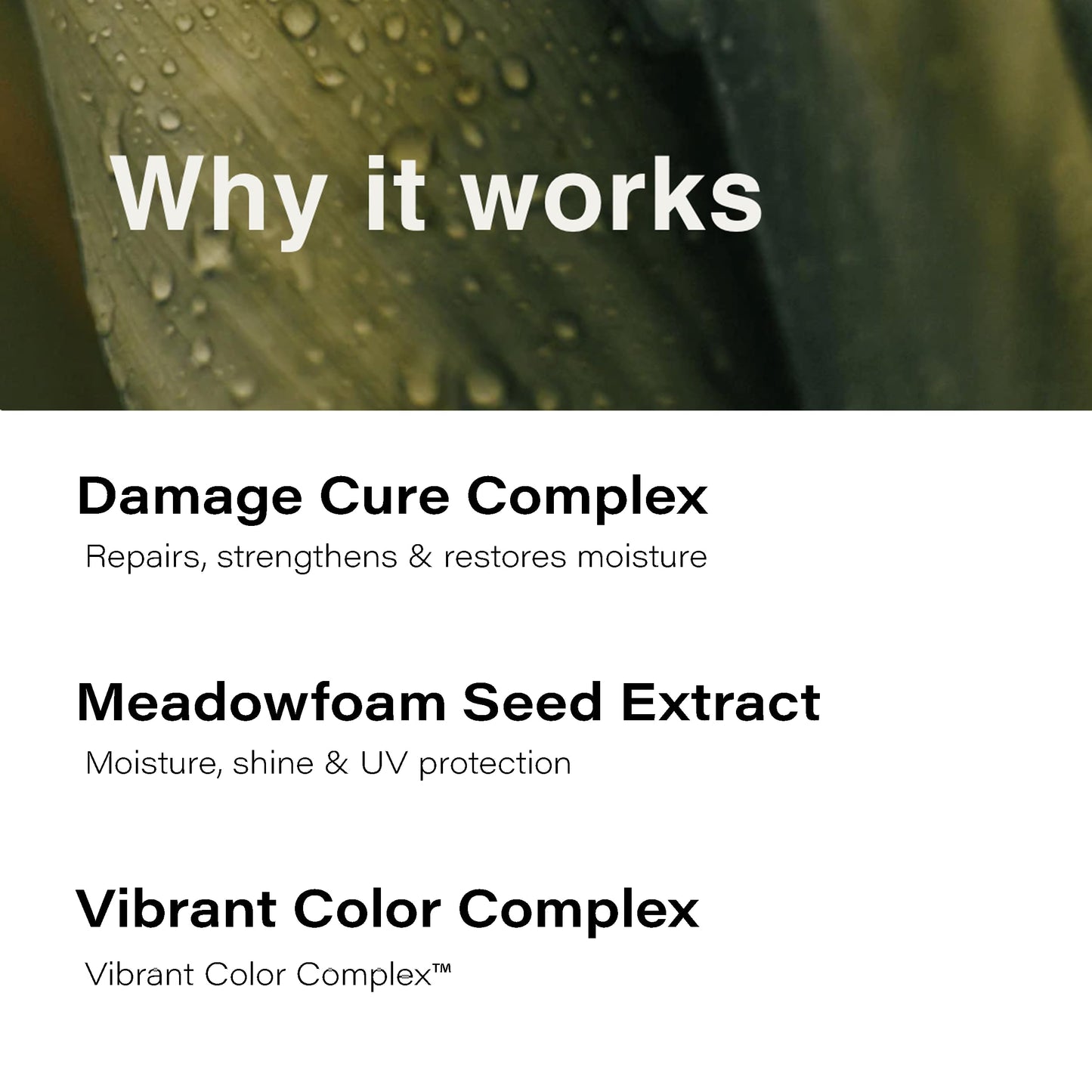 Eufora Beautifying Elixirs Elixirone Beauty & Personal Care Eufora