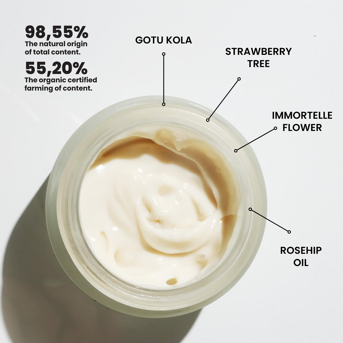 NOV Slow Aging Replenishing Night Cream - Face Moisturizer with Rose Hip Oil - Moisturizer Face Cream to Reduce Fine Lines and Aging Spots - 1.69 oz Beauty & Personal Care NOV natural organic vegan