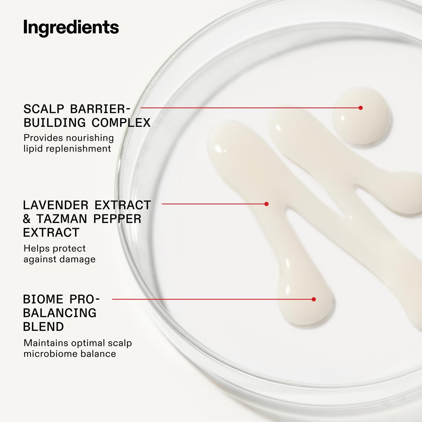 Olaplex Wash & Shine Fine Hair Kit: Nº. 4FINE, Nº. 5FINE, Nº. 0.5, Shampoo & Conditioner Set | Gently Cleanses to Volumize & Strengthen | Hydrates Beauty & Personal Care Olaplex
