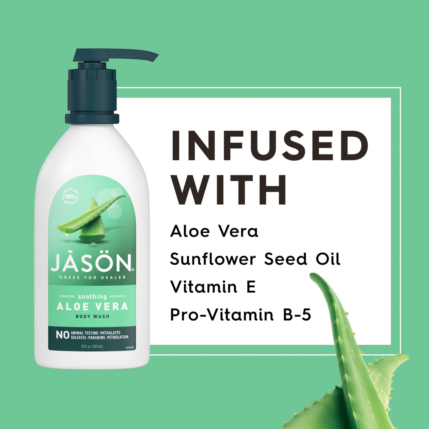 Jason Body Wash Aloe Vera Beauty & Personal Care JASON