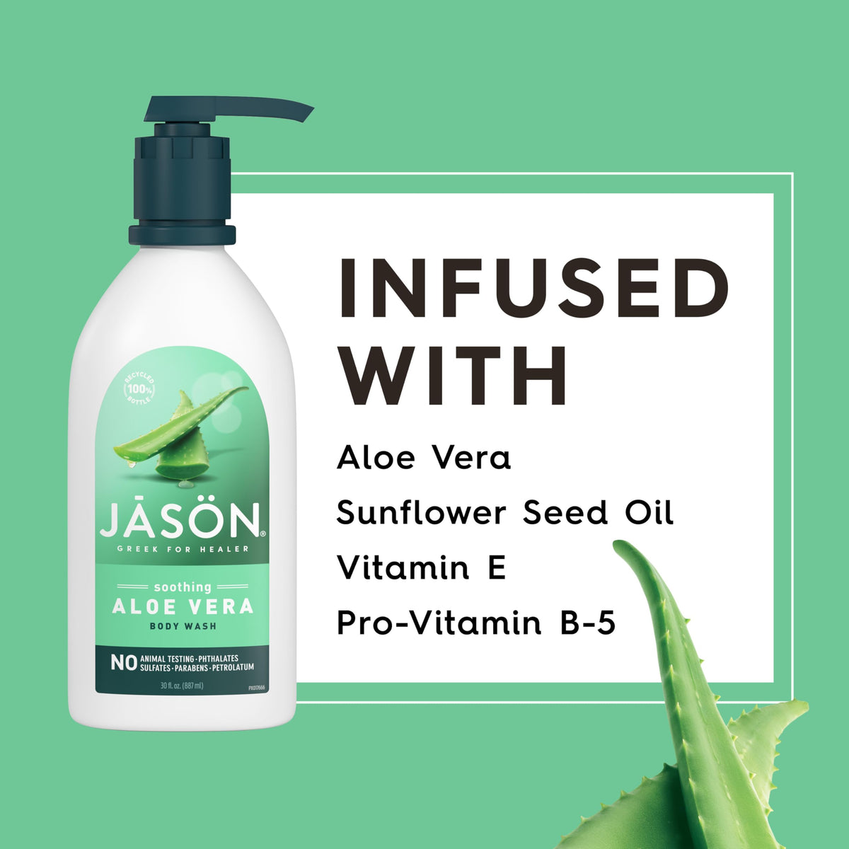 JASON Aloe Vera Soothing Body Wash, For a Gentle Feeling Clean, 30 Fluid Ounces Beauty & Personal Care JASON