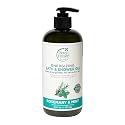 Petal Fresh Rosemary & Mint Bath & Shower Gel, Pure Energizing Body Gel, Daily Cleansing, Natural Body Care, Vegan and Cruelty Free, 16 oz Beauty & Personal Care Petal Fresh