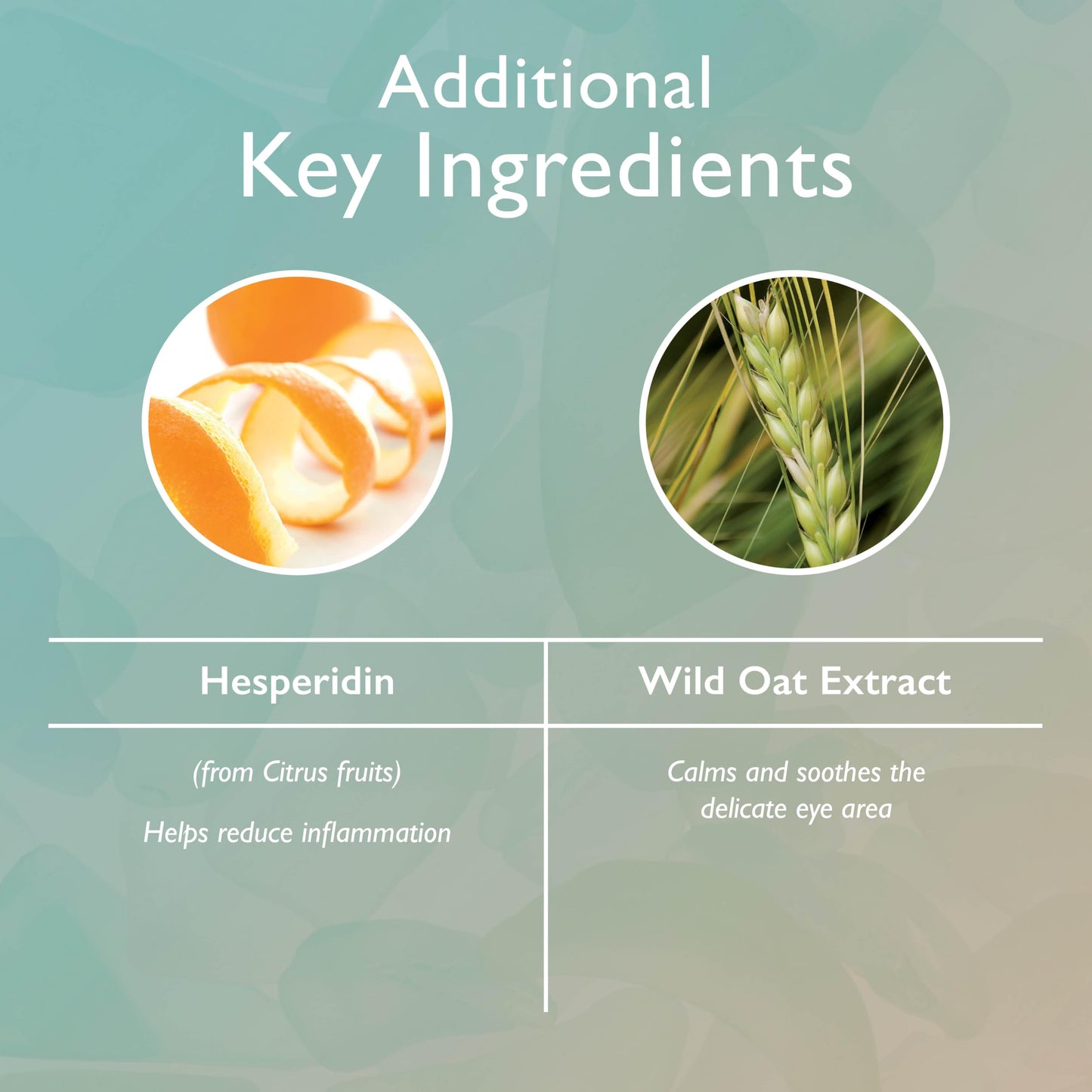 Restorsea Revitalizing Eye Cream - Reduces Dark Circles & Crow’s Feet - Anti-Aging Eye Treatment with Vibransea™ Complex, Hesperidin & Oat Extract Beauty & Personal Care Restorsea