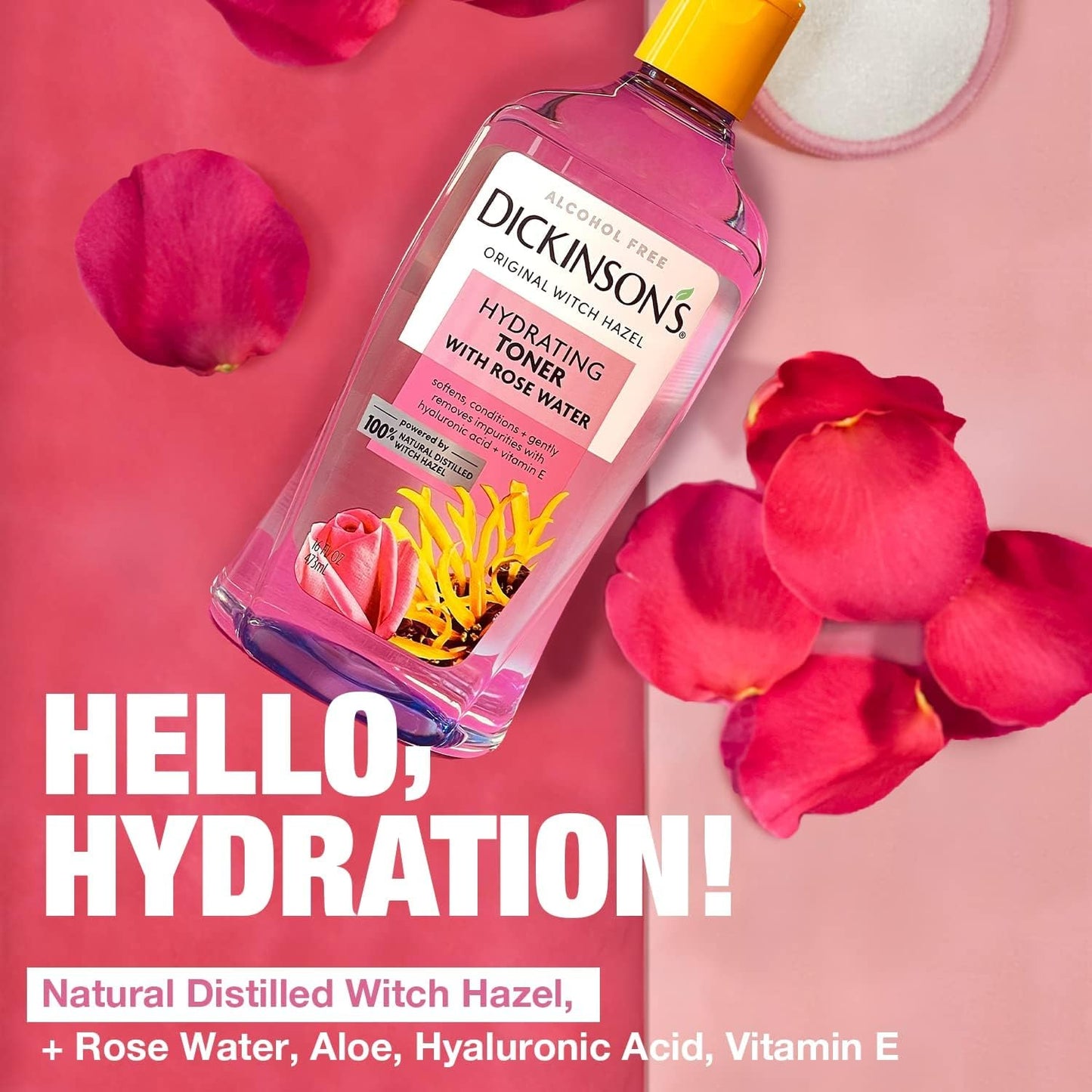 Dickinson's Enhanced Witch Hazel Hydrating Toner with Rosewater, Alcohol Free, 98% Natural Formula, 16 Fl Oz (Pack of 1) Beauty & Personal Care Dickinson's