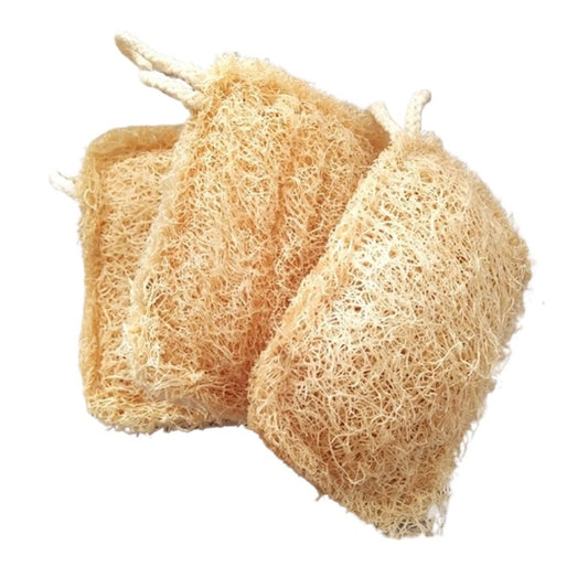 Kitchen Loofah Sponge Greener Clean Tools Non-Scratch Brush Natural Dish Scrubbers Luffa Loofa Lufa Sponge Tools(3 pcs) Beauty and Personal Care HIVJEEDYH