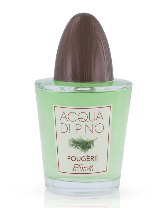Acqua Di Pino Fougere By Pino Silvestre For Men - A Men's Eau De Toilette Cologne Perfume Spray With An Intense Fragrance For Every Guy - A Truly Male Beauty & Personal Care Pino Silvestre