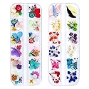 iFancer 108 Pcs Dried Flowers for Resin Nail Art 62 Colors 3D Dry Flowers for Nails 2 Boxes Small Tiny Dried Flowers for Nail Art Little Pressed Real Beauty & Personal Care iFancer
