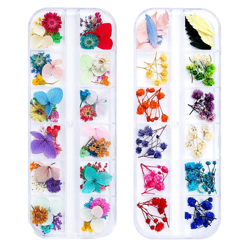 iFancer 108 Pcs Dried Flowers for Resin Nail Art 62 Colors 3D Dry Flowers for Nails 2 Boxes Small Tiny Dried Flowers for Nail Art Little Pressed Real Beauty & Personal Care iFancer