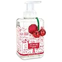 Michel Design Works Scented Foaming Hand Soap, Ho Ho Ho Beauty & Personal Care Michel Design Works