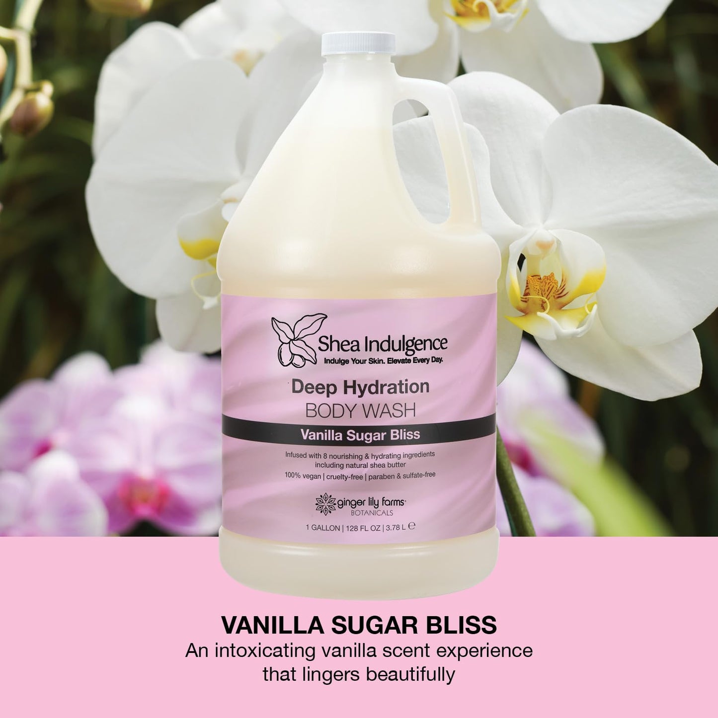 Ginger Lily Farms Botanicals Shea Indulgence Deep Hydration Body Wash, 100% Vegan & Cruelty-Free, Vanilla Sugar Bliss Scent, 1 Gallon (128 fl oz) Beauty & Personal Care Ginger Lily Farms