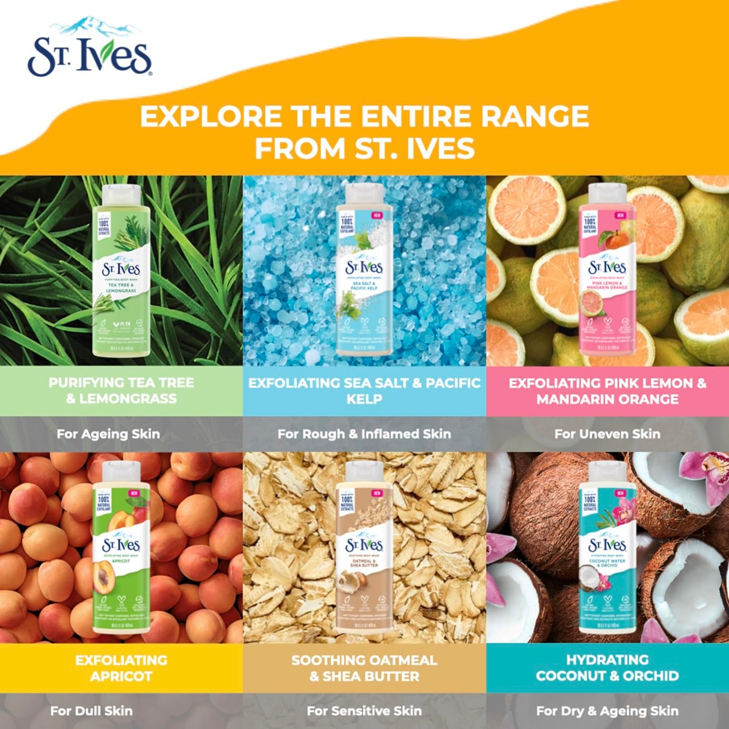 St Ives Body Wash 16 Ounce Coconut Water & Orchid (473ml) Beauty & Personal Care St. Ives