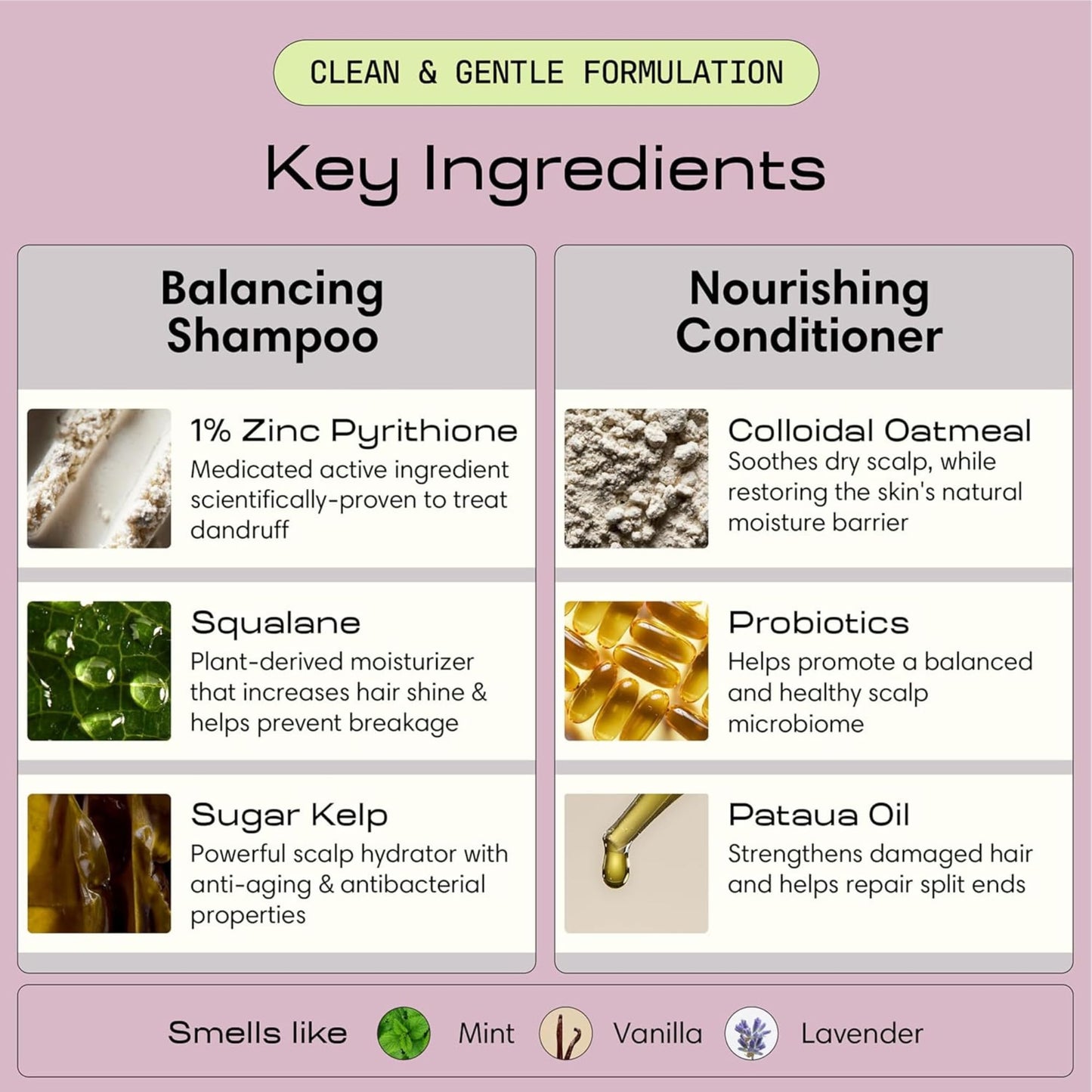 Jupiter Anti Dandruff Shampoo, Conditioner & Serum for Flaky, Itchy, Oily & Dry Scalp - Nourishes Scalp, Reduces Breakage & Flakes - Color-Safe Beauty & Personal Care Jupiter