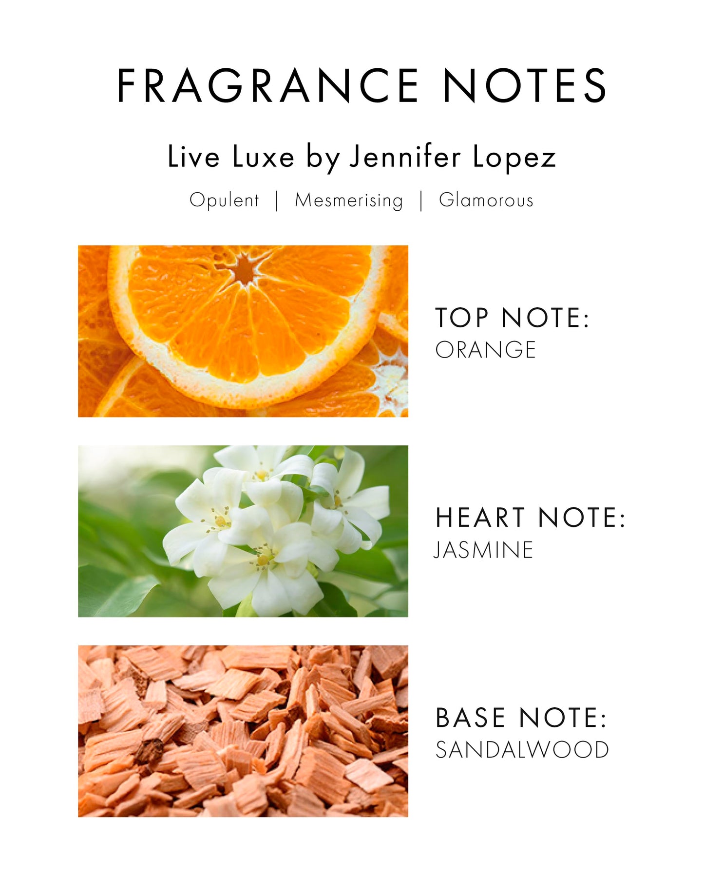 Live Luxe by Jennifer Lopez for Women Beauty & Personal Care Jennifer Lopez