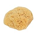 Bass Brushes Large Natural Bath Sponge Shower, 1 EA Beauty & Personal Care Bass