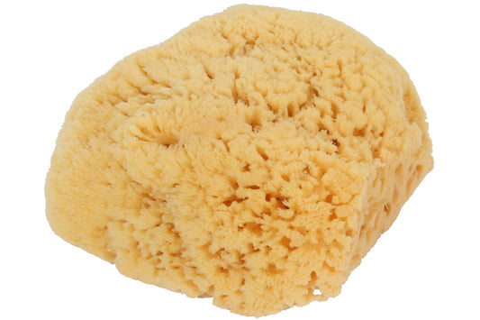 Bass Brushes Large Natural Bath Sponge Shower, 1 EA Beauty & Personal Care Bass