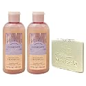 Bath & Body Works Champagne Toast 2 Pack Mini Moisturizing Shampoo Bundle with a Natural Oats Sample Soap - Travel Size Beauty & Personal Care Bath & Body Works