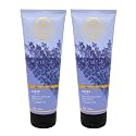 Bath & Body Works Ultra Shea Body Cream, 8oz Each, Pack of 2 (Lavender Vanilla) Beauty & Personal Care Bath & Body Works