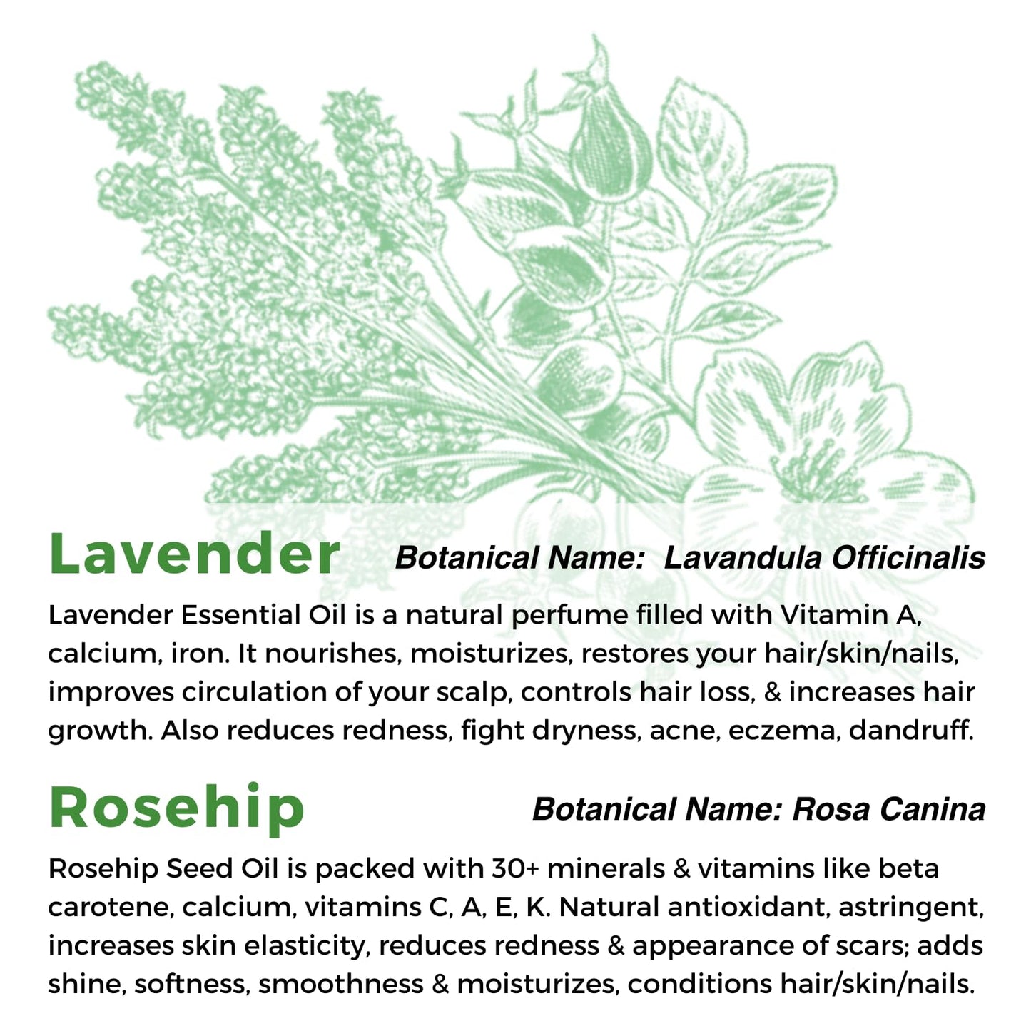 Multiuse Lavender + Rosehip Oil Medley for Face, Body, and Hair - Natural Rosehip Oil, Shea Nut Oil, Lavender Essential Oil, and Vitamin E - Seals in Beauty & Personal Care Kyra's Shea Medleys