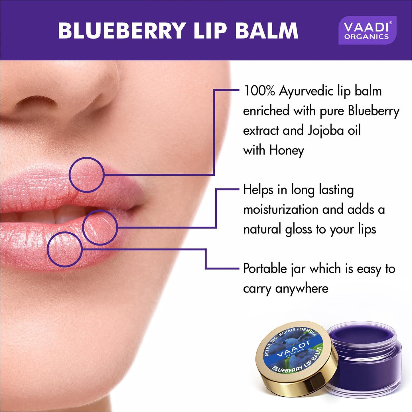 Vaadi Herbals Value Lip Balm, Blueberry, 4 x 10g Beauty and Personal Care Vaadi Herbals