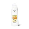 Dove DermaCare Scalp Anti Dandruff Shampoo for Dry and Itchy Scalp Dryness and Itch Relief Dry Scalp Treatment with Pyrithione Zinc 12 oz Beauty & Personal Care Dove