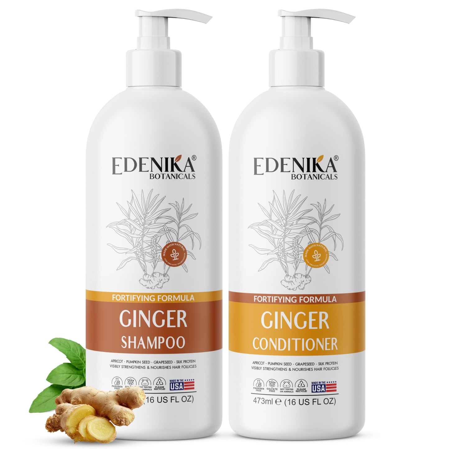 Edenika Botanicals Ginger Shampoo and Conditioner Set, Fortifying Formula with Certified and Organic Ingredients Naturally Nourish, Smooth Beauty & Personal Care EDENIKA BOTANICALS