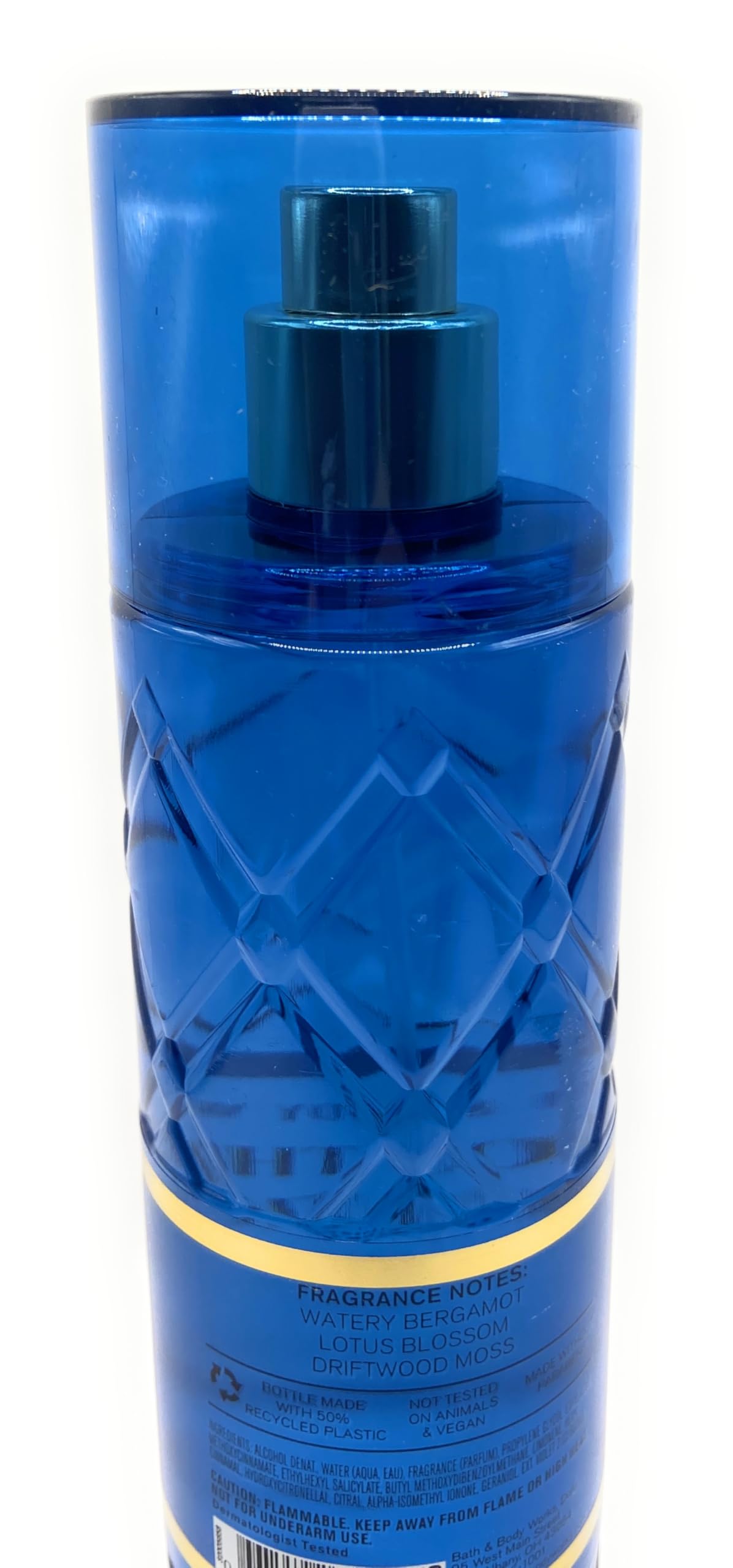 Bath and Body Works On The Horizon Fine Fragrance Mist 8 Fluid Ounce Spray Beauty & Personal Care Bath & Body Works