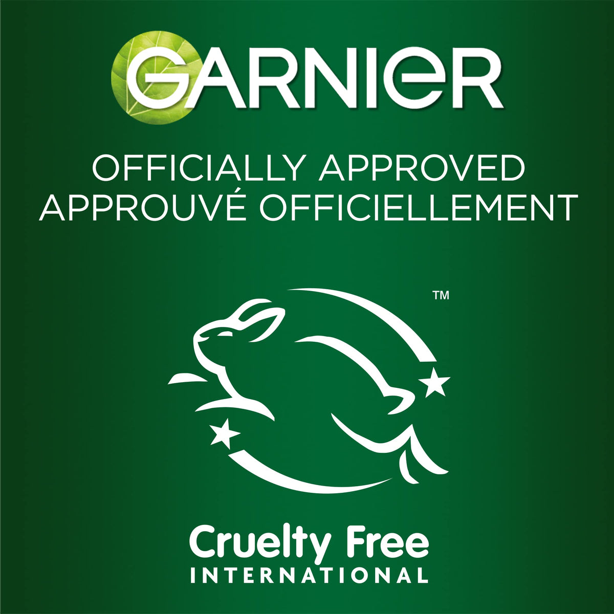 Garnier SkinActive Green Labs Hyalu-Melon Smoothing Milky Washable Cleanser with Hyaluronic Acid + Watermelon for Dehydrated Skin, Fine Lines Beauty & Personal Care Garnier