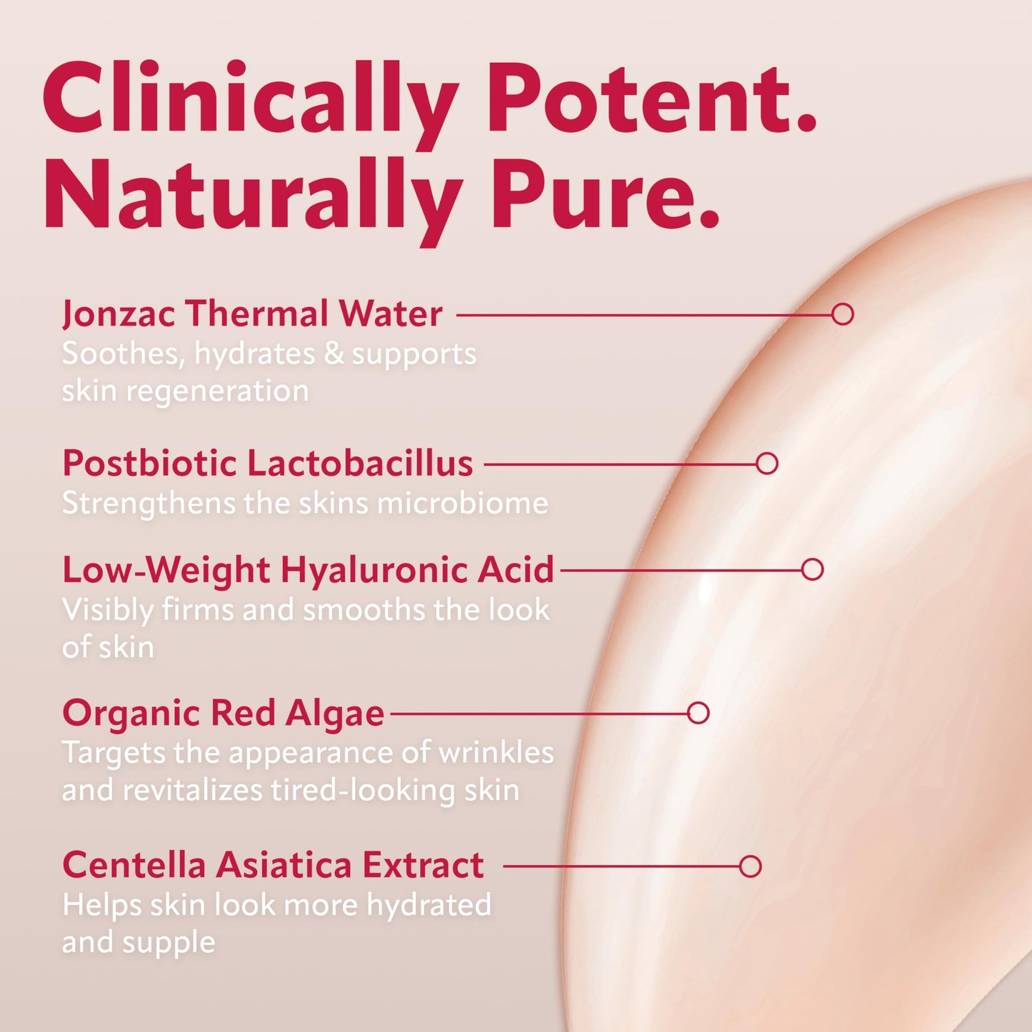 Eau Thermale Jonzac Sublimactive Anti-Aging Firming Serum for Face - Visibly Reduces Fine Lines and Smooths Wrinkles - Natural Skin Care - Hyaluronic Beauty & Personal Care JONZAC