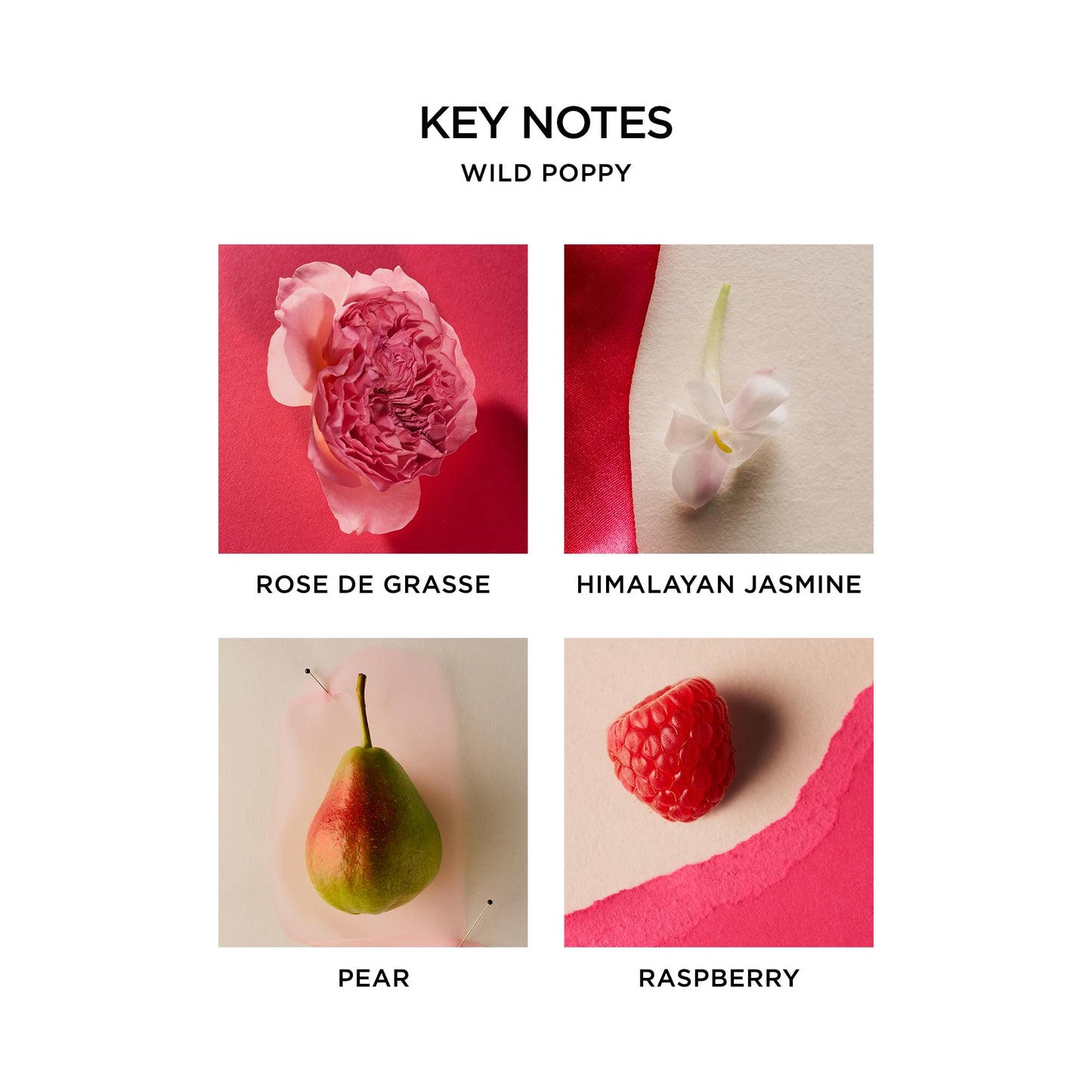 NEST New York Wild Poppy Eau de Parfum (Full Size) - 50 mL - Vegan & Cruelty Free Beauty & Personal Care NEST New York