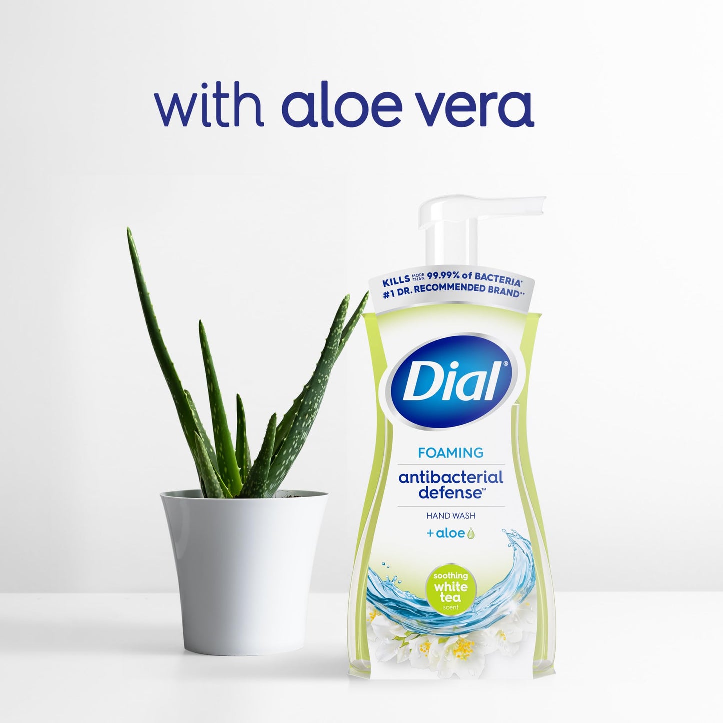Dial Ddi Antibacterial Foaming Hand Wash White Tea(Pack of 8) Beauty & Personal Care Dial