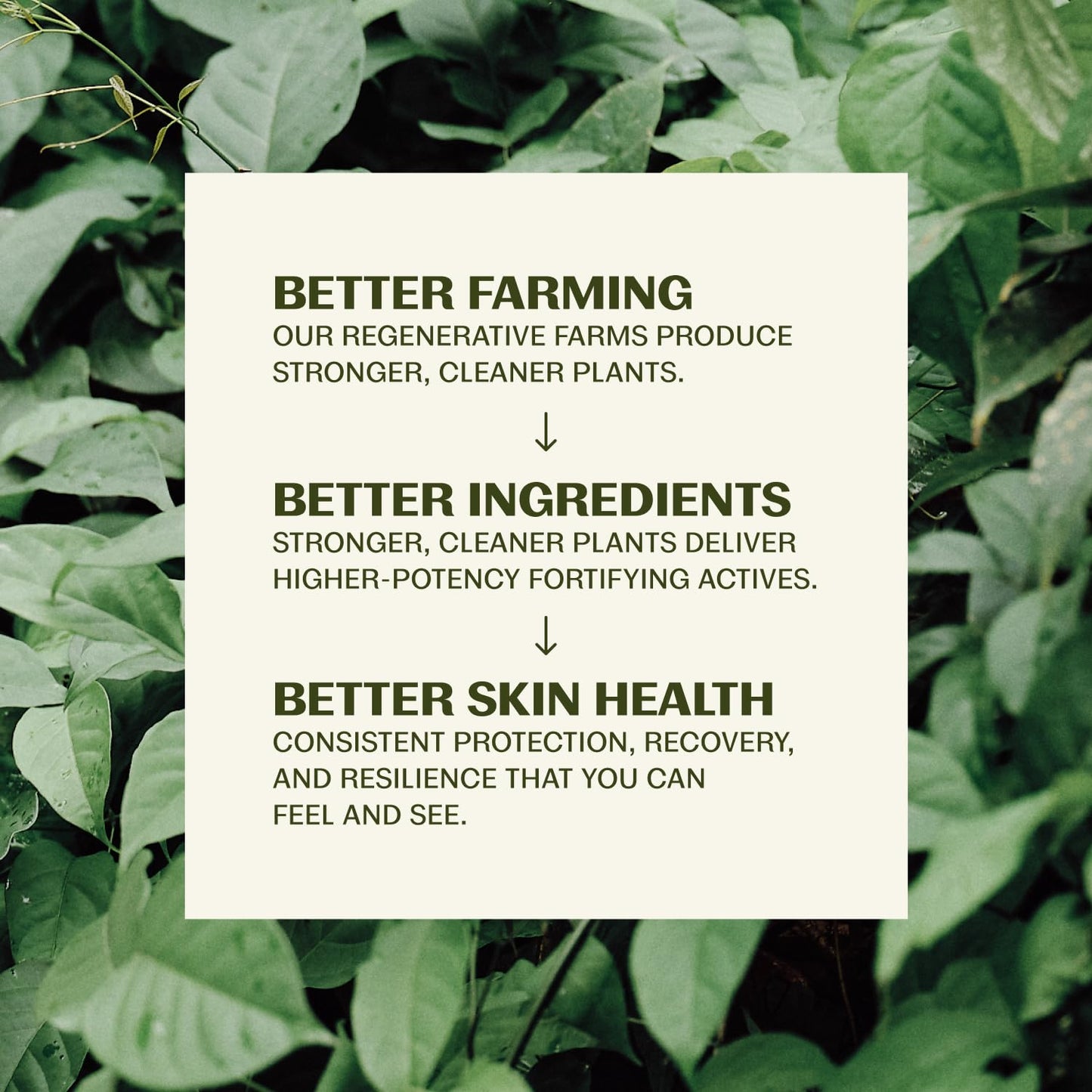Thrive Natural Care Mineral Face Sunscreen SPF 30 - Daily Sunscreen for Face, No White Cast, Non-Nano Zinc Oxide - Lightweight Moisturizer Beauty & Personal Care Thrive Natural Care