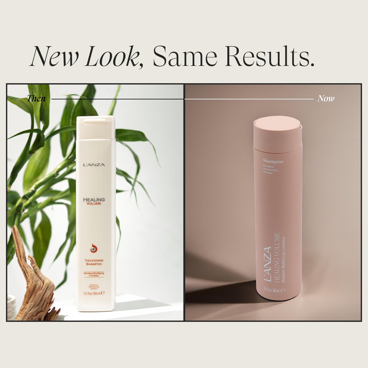 L'ANZA Healing Volume Thickening Shampoo, Boosts Shine, Volume, and Thickness for Fine and Flat Hair, Rich with Bamboo Bodifying Complex and Keratin Beauty & Personal Care L’ANZA
