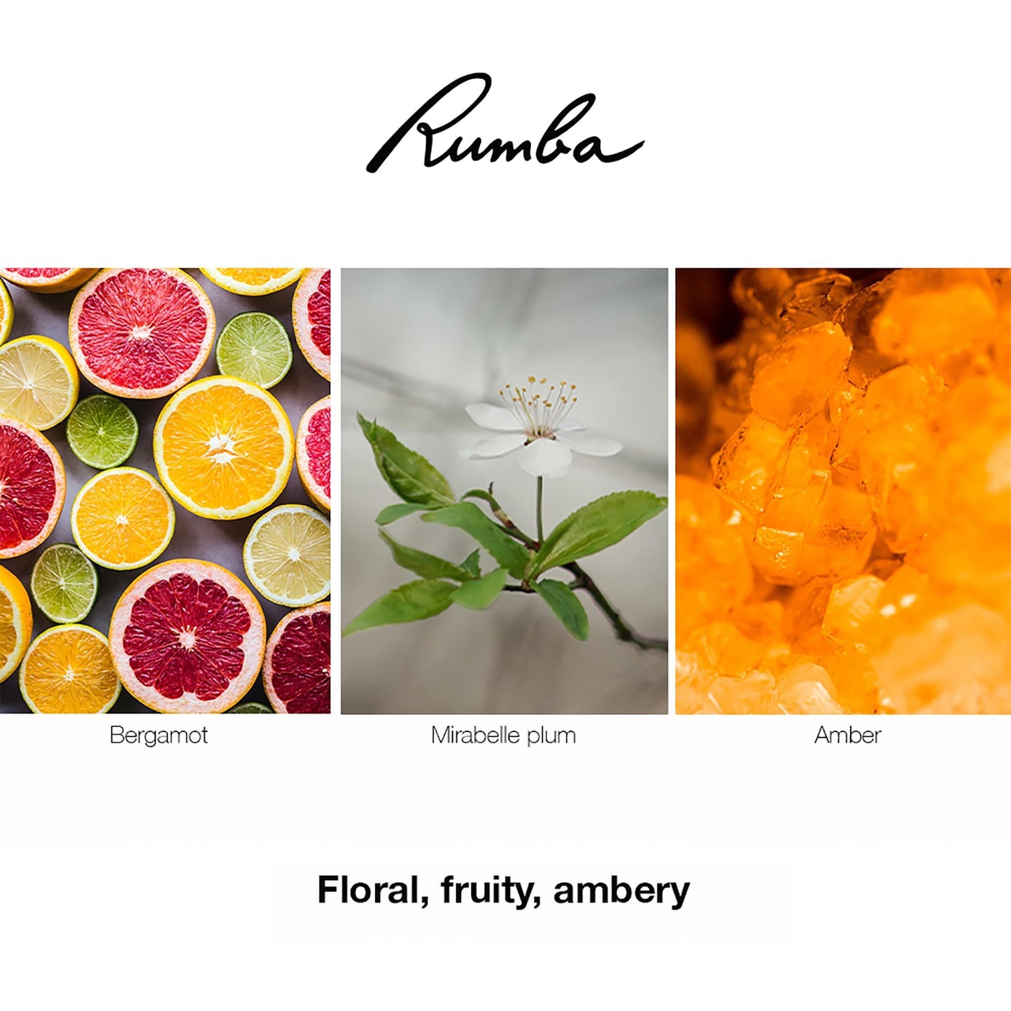 Rumba for Women Edt Spray 3.4 Oz Beauty & Personal Care Ted Lapidus
