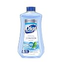 Dial Complete Antibacterial Foaming Hand Soap Refill, Spring Water, 32 Fl Oz Beauty & Personal Care Dial