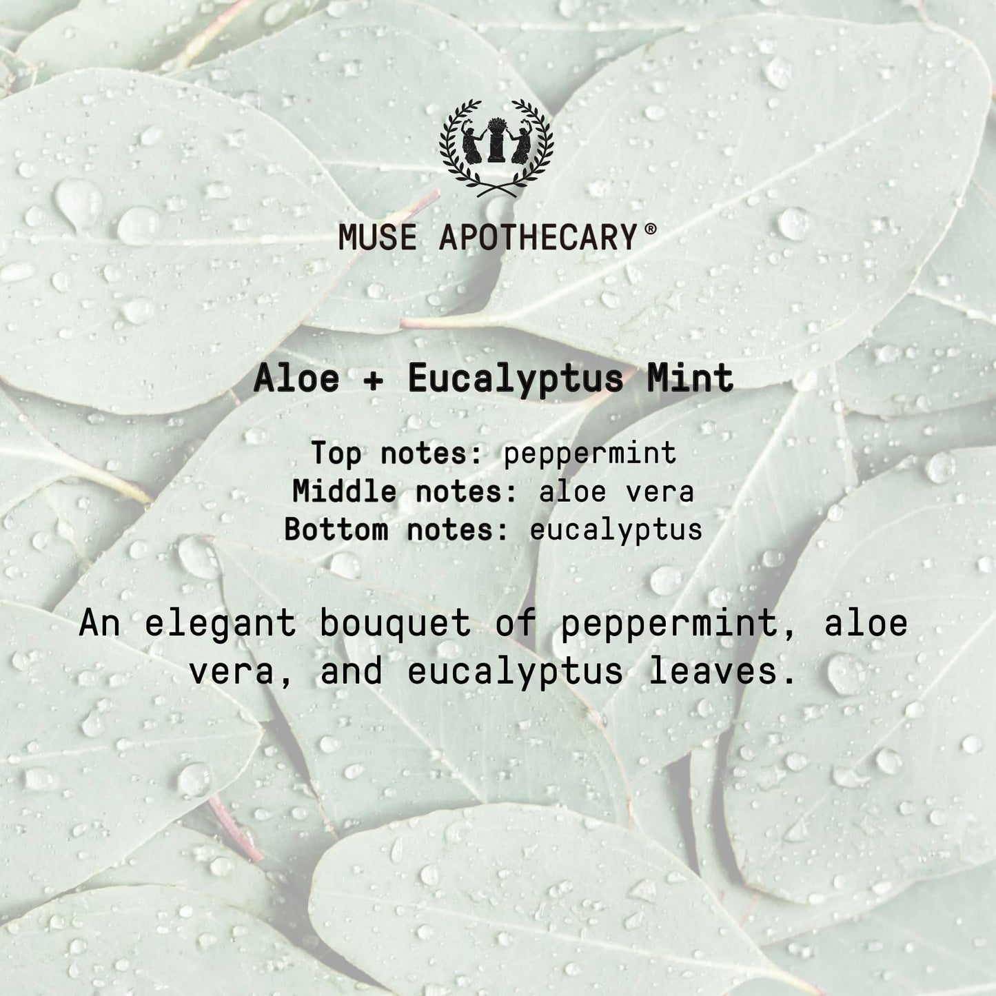 Muse Apothecary Study Ritual - Aromatic and Invigorating Room Mist, 4 oz, Infused with Natural Essential Oils - Aloe + Eucalyptus Mint, 2 Pack Beauty & Personal Care Muse Apothecary