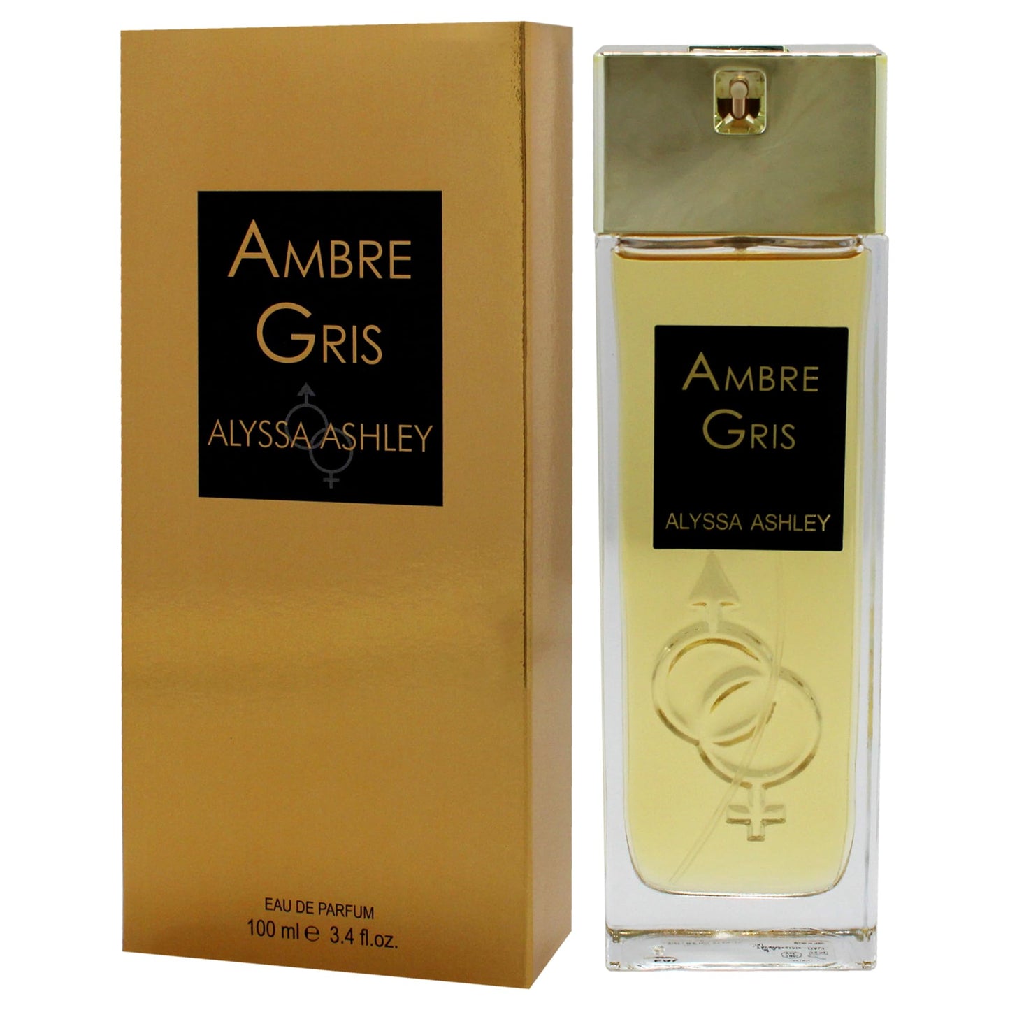 Ambre - Gris by Alyssa Ashley for Women - 3.4 oz EDP Spray Beauty & Personal Care ALYSSA ASHLEY