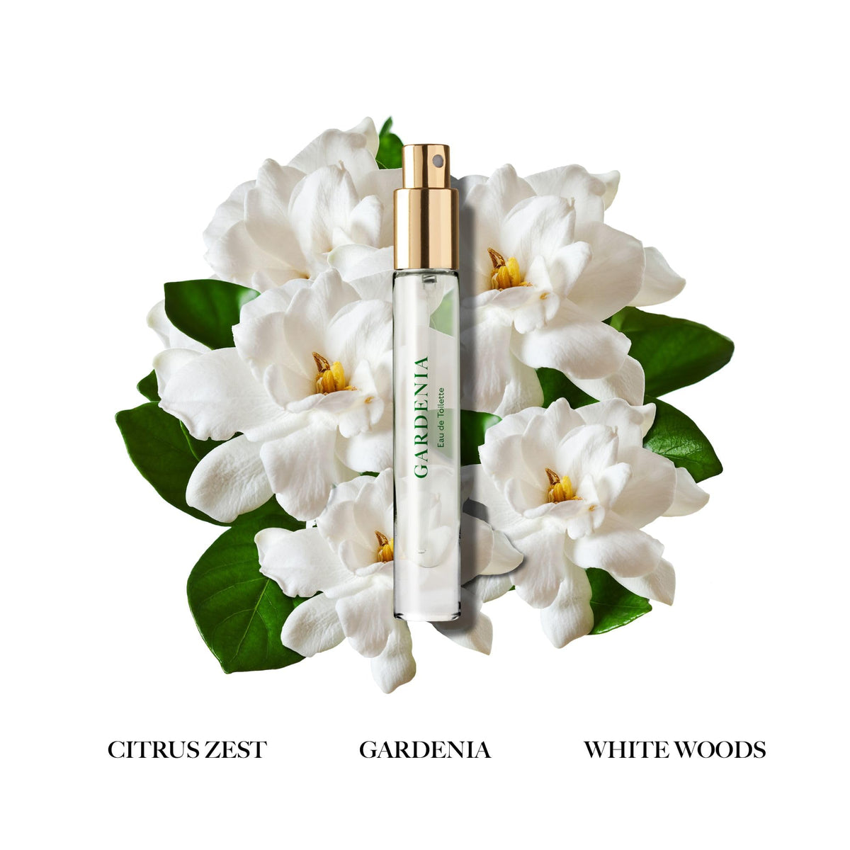 Caswell-Massey Gardenia Eau de Toilette Spray, Feminine Floral Perfume with Citrus Zest, Gardenia & Peony, Made in USA, 0.25 Oz Beauty & Personal Care Caswell-Massey