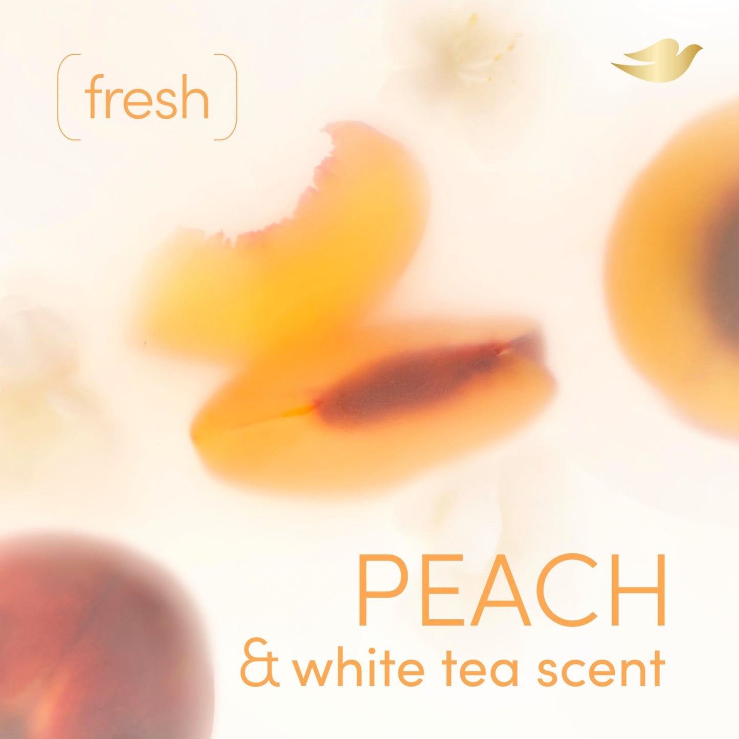 Dove Whole Body Deodorant Cooling Spray Peach & White Tea Aluminum Free 4oz Beauty and Personal Care Dove