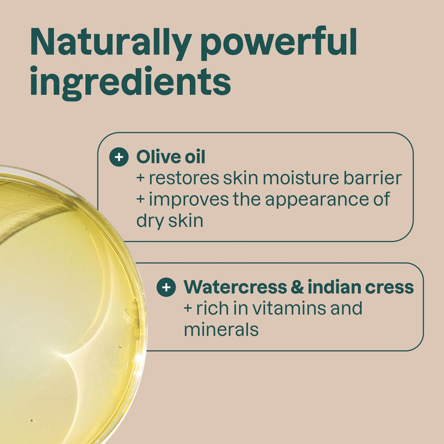 ATTITUDE Body Soap Bar, Natural Origin, Protects and Softens Dry Skin, Coconut & Olive Oils, For Men and Women, EWG verified & Vegan, Sandalwood, 4 Oz Beauty & Personal Care ATTITUDE
