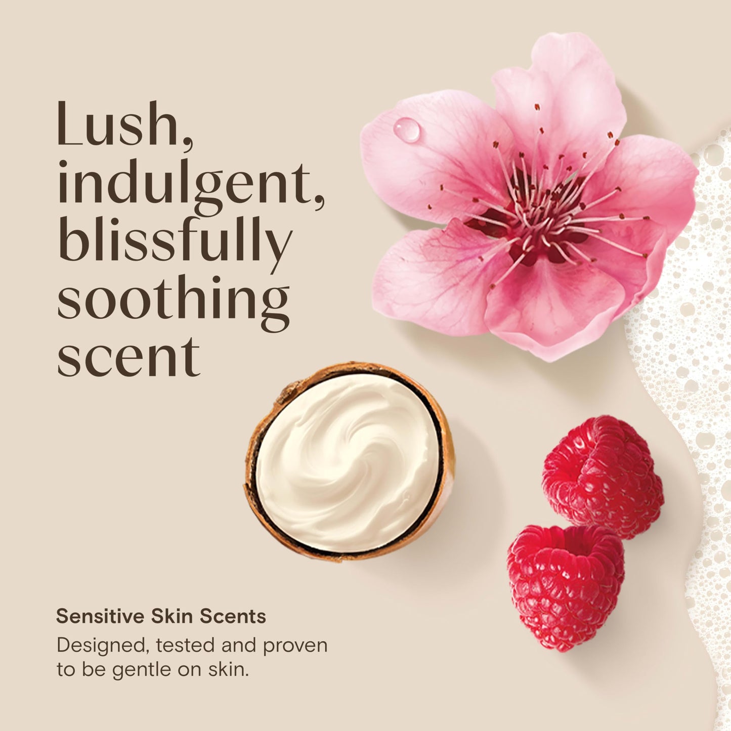 Aveeno Daily Moisturizing Body Wash with A Shea Butter Berry Scent & Soothing Prebiotic Oat, Provides Long-Lasting Hydration for Sensitive Skin Beauty & Personal Care Aveeno