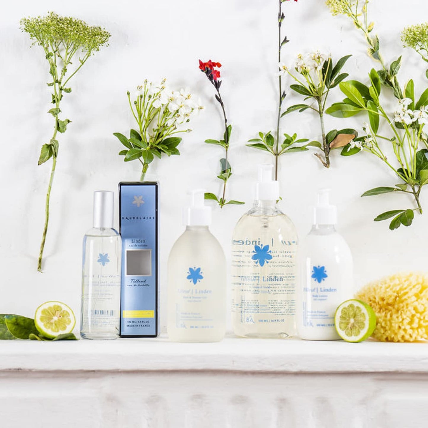 Provence Sante Liquid Soap & Lotion Bamboo Tray Gift Set - Moisturizing Hand Soap & Anti Aging Body Lotion Hydrating Fragrance Restore Dry Skin Beauty & Personal Care Provence Sante