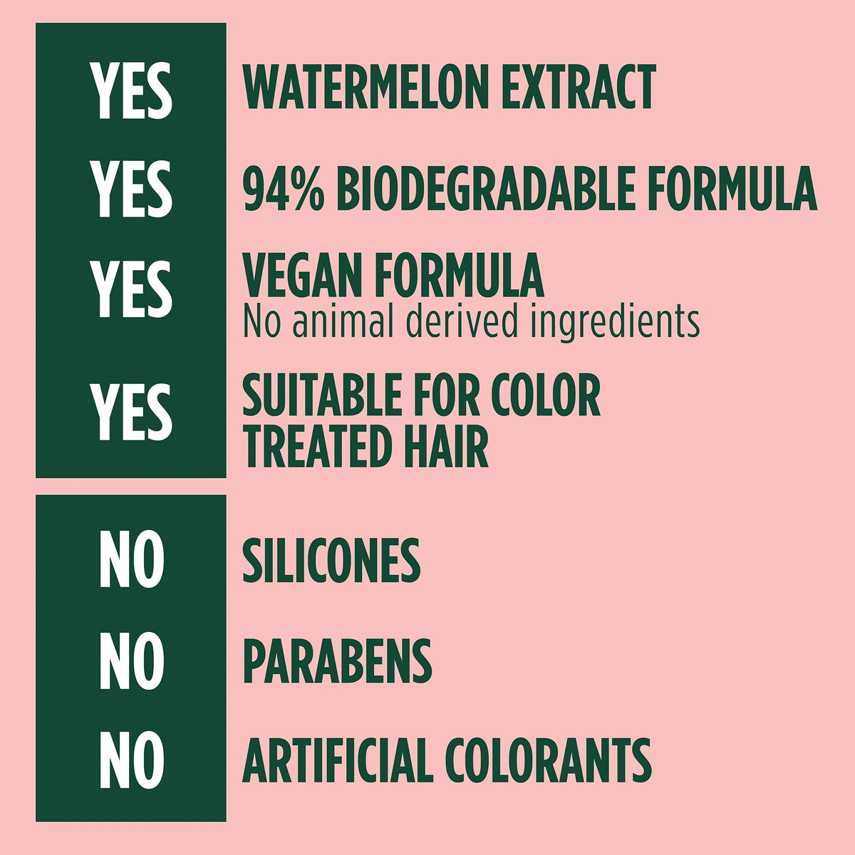 Garnier Fructis Plumping Treat Conditioner + Watermelon Extract