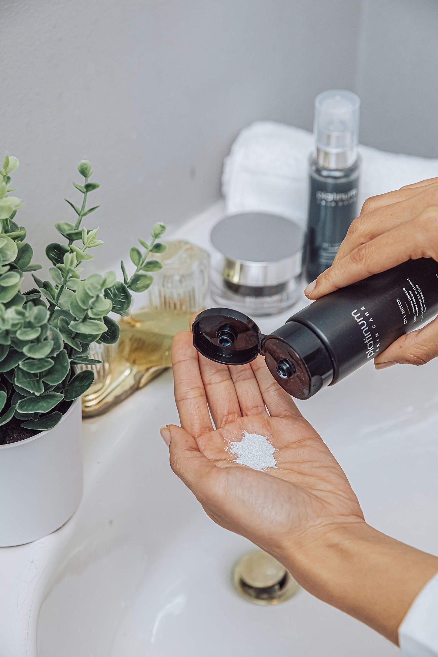 Aloette City Detox Environmental Defense Powder Cleanser, Charcoal Infused Powder Cleanser, Sulfate & Cruelty Free, 1.7 Fl Oz Beauty & Personal Care Aloette