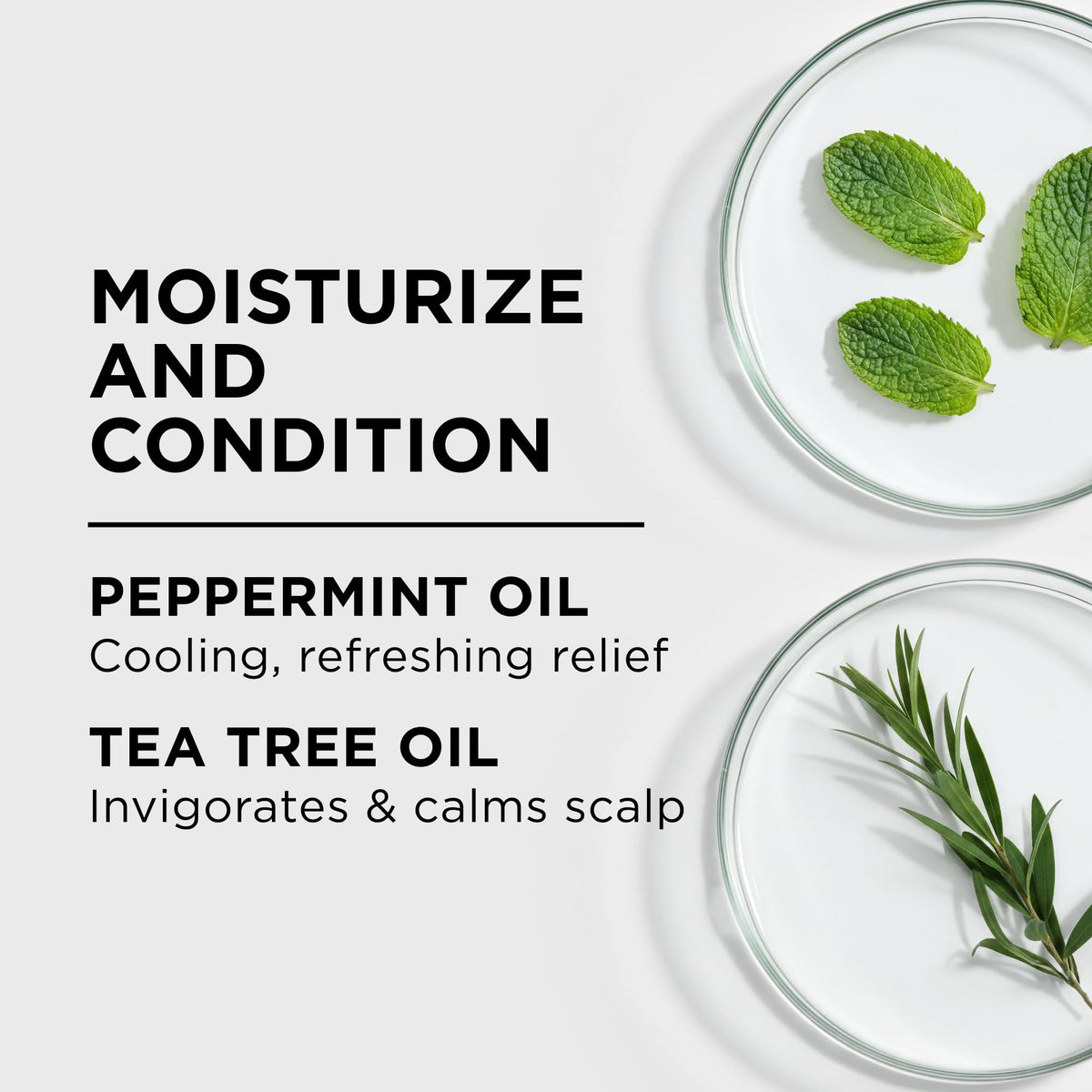Style Factor LockBOOSTER Scalp Moisturizing Oil - Lightweight Hydration with Peppermint & Tea Tree Oil for revitalizing Braids, Locs & Twists -