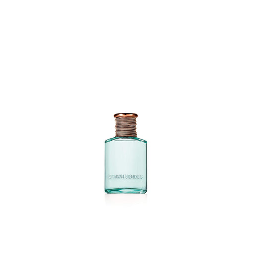 Shawn Mendes Signature EDP, 1.0-Ounce Beauty & Personal Care shawn mendes