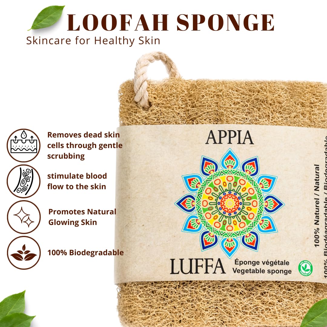 Premium Organic Loofah Sponge Medium 6“ - Loofah for Bath & Shower - Body Scrubber for Shower Scrubbing - Eco Friendly 100% Natural & Biodegradable Beauty and Personal Care Appia Luffa