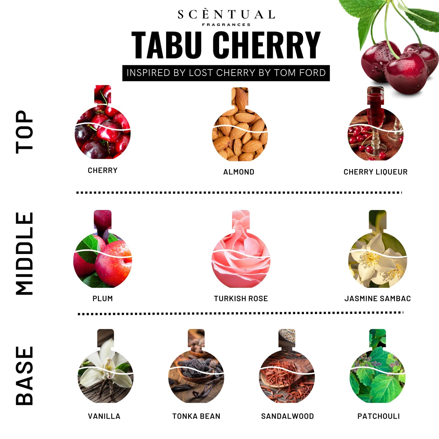 Scentual Fragrances Tabu Cherry, Ultra-Concentrated Hair & Body Perfume Mist, Long Lasting Women's Fragrance, Gourmand Perfumes for Women, Vegan Beauty & Personal Care Scentual Fragrances