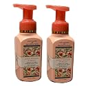 Bath and Body Works Gentle and Clean Foaming Hand Soap 8.75 oz each - Pack of 2 (Peach Blossom and Nectar) Beauty & Personal Care Bath & Body Works