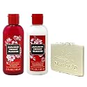 Bath & Body Works Japanese Cherry Blossom Mini Moisturizing Shampoo and Conditioner Duo Set with a Natural Oats Sample Soap Beauty & Personal Care Bath & Body Works