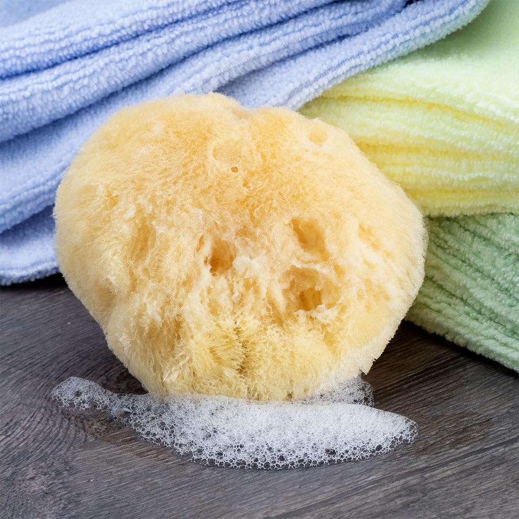 Sea Soft Silk Sponge - for Cosmetic Use, Facial Cleansing, 3-4 inches Beauty & Personal Care Neptune Natural